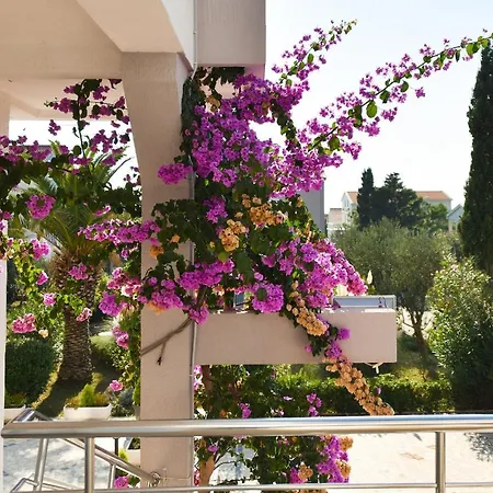 Apartments Villa Daniela Novalja Exterior photo